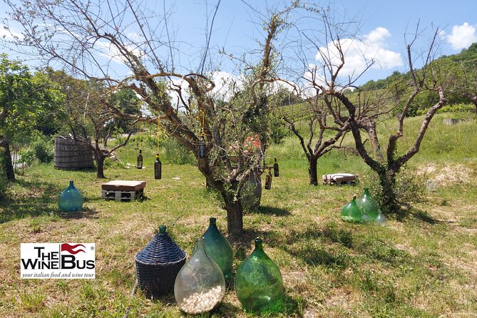 Private Irpinia Wine Tour From Sorrento With Sommelier - Tour Highlights