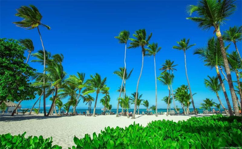 Private: Isla Saona VIP Escape Luxury Beach & Speedboat Tour - Introduction: A Luxurious Escape to Isla Saona