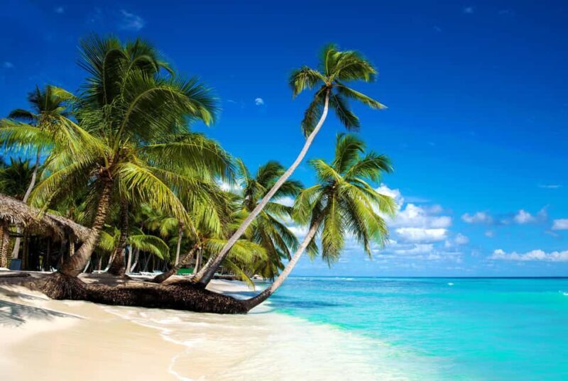 Private: Isla Saona VIP Escape Luxury Beach & Speedboat Tour - Good To Know