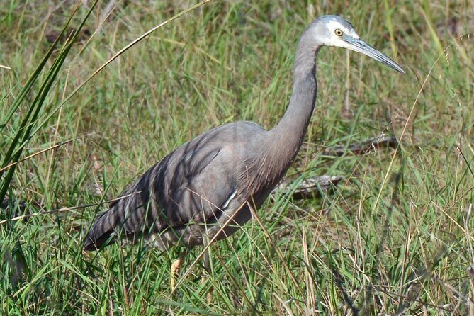 Private Island Day Tour with 6 Course Dining - Who Would Love This Tour?