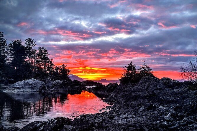 Private Island Experience in Sitka - An In-Depth Look at the Private Island Experience in Sitka