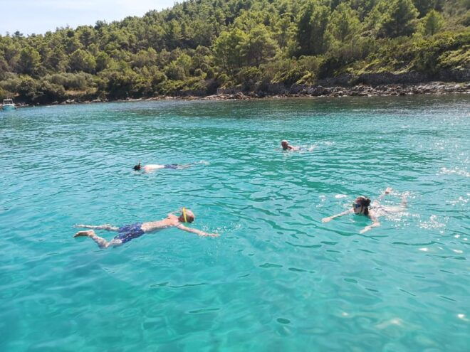 Private Island Hopping Boat Tour Around Zadar With Drinks - Customer Experience and Reviews