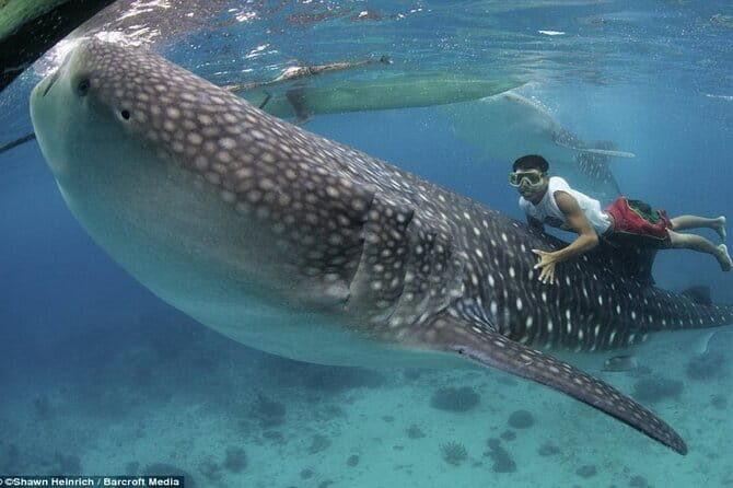 Private Island Hopping in Nasuluan, Hiltotongan and Caohngan - Who Will Love This Tour?