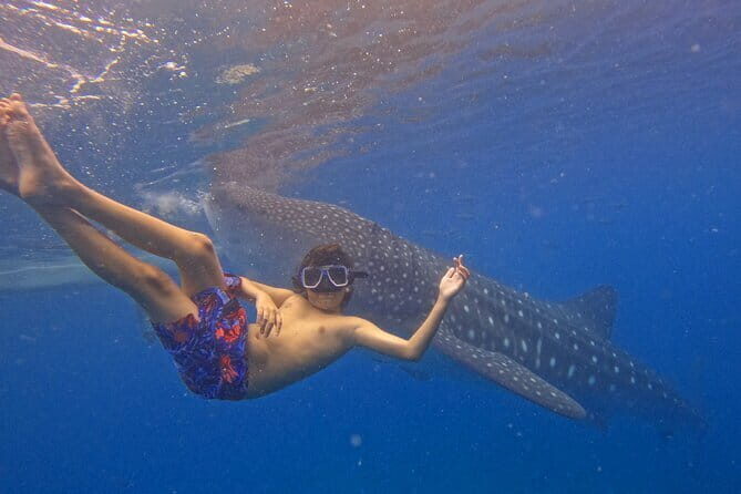 Private Island Hopping in Nasuluan, Hiltotongan and Caohngan - FAQ