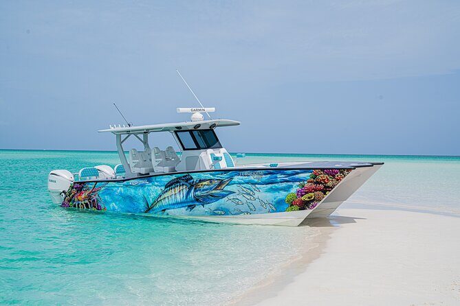 Private Island Hopping Snorkeling Adventure - Private Island Hopping Snorkeling Adventure: A Deep Dive into Turks and Caicos Best