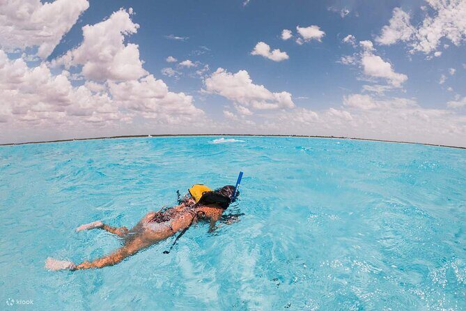 Private Island Kayak and Snorkel Tour in Vieques - Final Thoughts