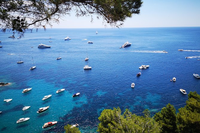 Private Island of Capri Boat Tour for Couples - Traveler Experiences