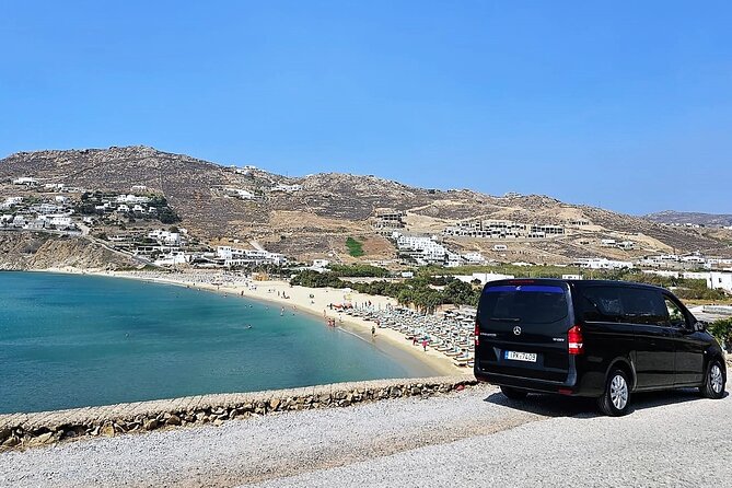 Private Island Tour: Highlights of Mykonos - Additional Services