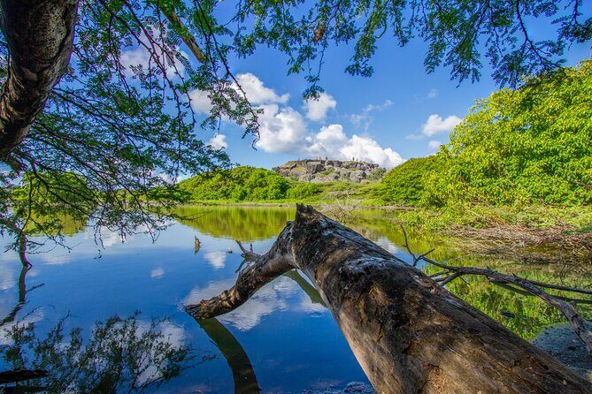 Private Island Tour with Photo Shoot Options Northern Tour - Good To Know
