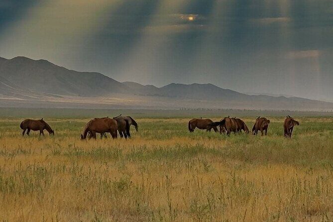 Private Issyk Kul Adventure and Karakol Skiing - Authentic Experiences and Review Insights