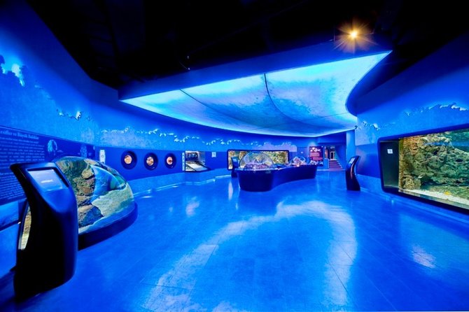 Private Istanbul Full Day Daily or Shopping Tour - Common Questions