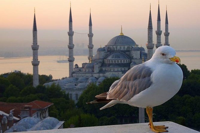 Private Istanbul Layover Tour From Airport - Traveler Reviews