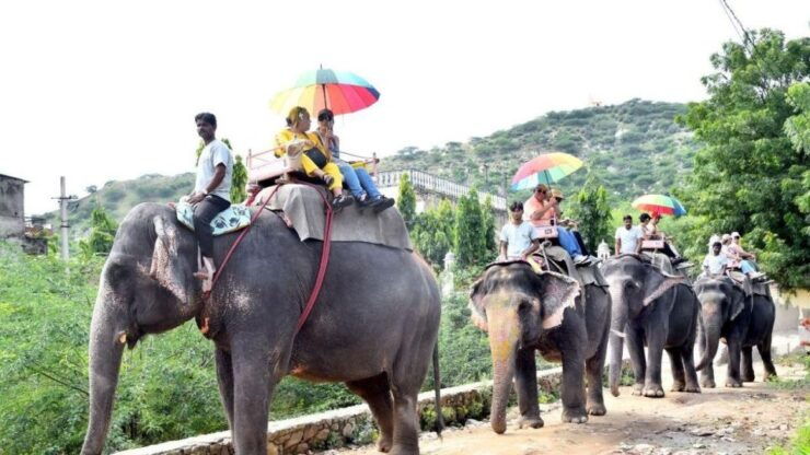 Private Jaipur 1 Day Tour/Amir Fort Elephant Rides Activity - Good To Know