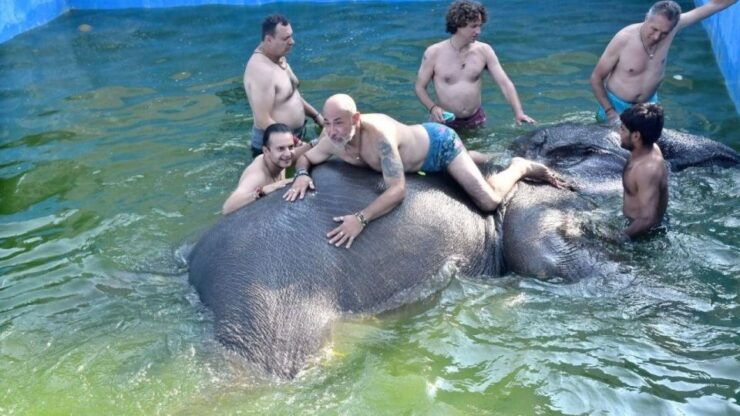 Private Jaipur 1 Day Tour/Amir Fort Elephant Rides Activity - Activity Itinerary