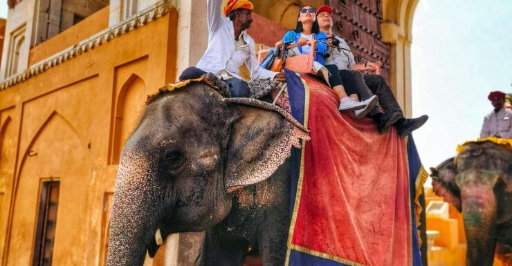 Private Jaipur Full Day City Tour From Jaipur - Experience