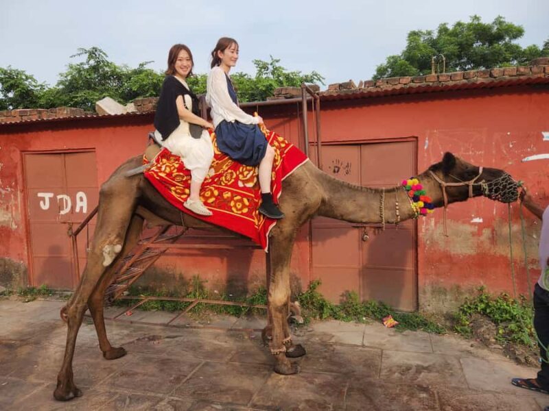 Private Jaipur(Pink City) Day Trip From Delhi By Car - Good To Know