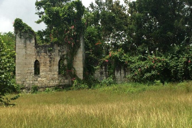 Private Jamaica West Heritage Sightseeing Tour - A Closer Look at the Itinerary and Highlights