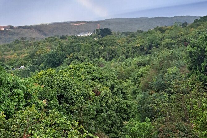 Private Jamrock Herbal Trek at Discovery Bay Jamaica - Good To Know