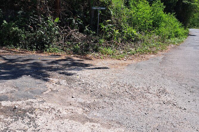 Private Jamrock Herbal Trek at Discovery Bay Jamaica - What to Expect on the Herbal Trek