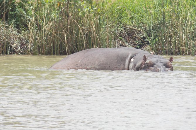 Private Janjangbureh Overnight Tour - Price Information
