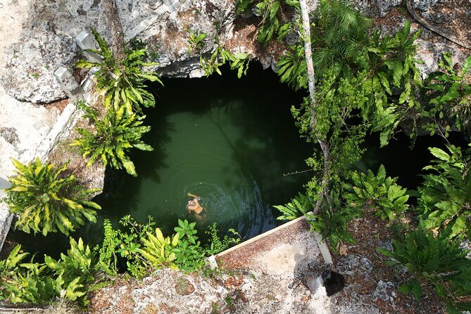 Private Jeep Cenotes Expedition in Cozumel - Good To Know