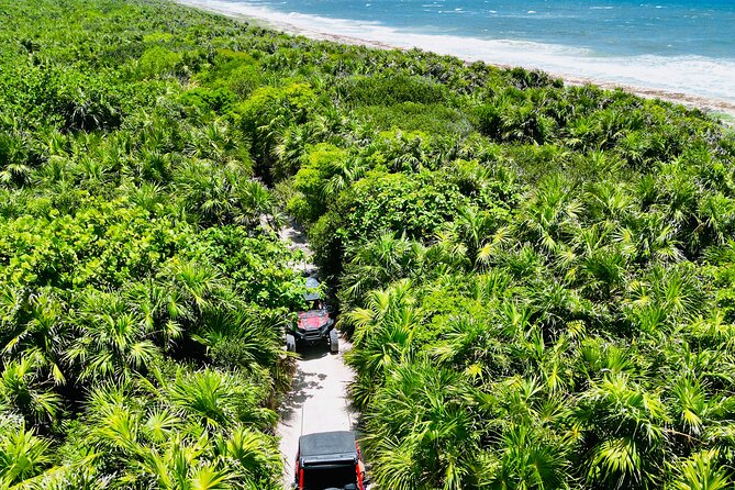 Private Jeep & Polaris RZR: San Gervasio Mayan Ruins & Snorkeling - Cancellation Policy