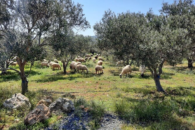 PRIVATE Jeep Safari 4x4 SUNSET Area Heraklion With Dinner - Itinerary Highlights