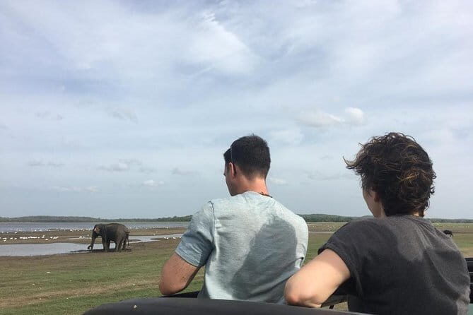 Private Jeep Safari at Minneriya National Park - Good To Know