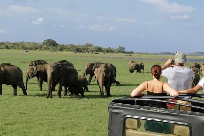 Private Jeep Safari at Minneriya National Park - FAQ