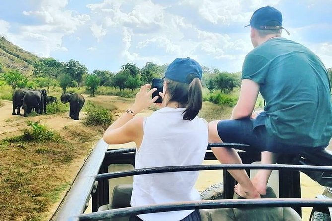 Private Jeep Safari at Minneriya National Park - Reviews