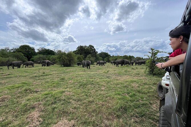 Private Jeep Safari at Minneriya National Parks - FAQs