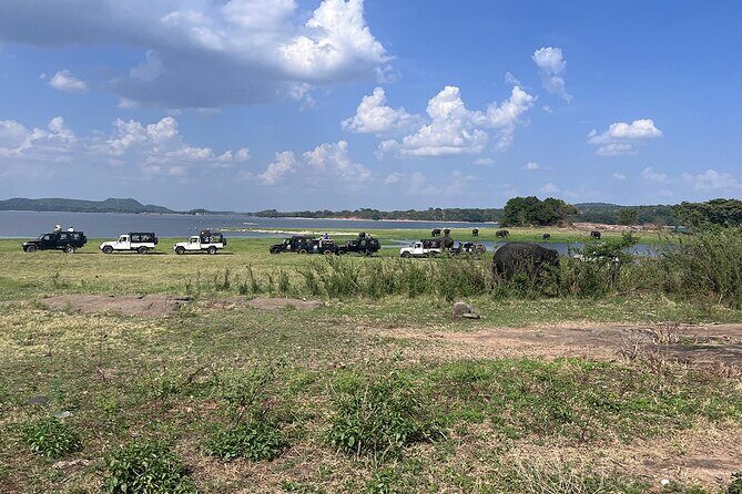 Private Jeep Safari at Minneriya National Parks - FAQ