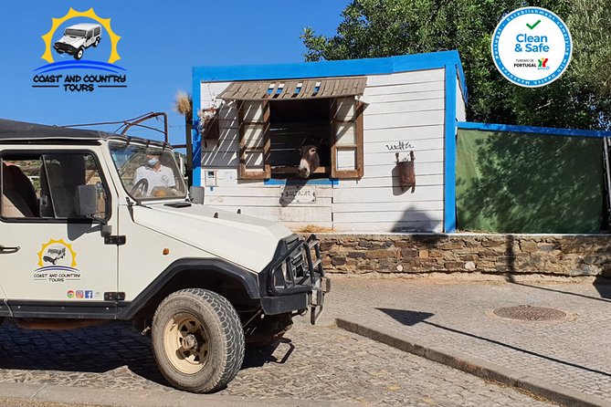 Private Jeep Safari Half-Day Tour - Tour Overview