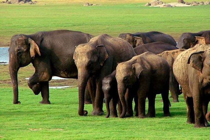 Private Jeep Safari To one of a Best National Park - Frequently Asked Questions