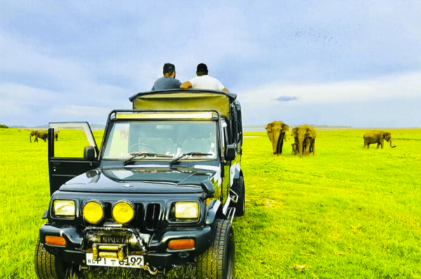 Private Jeep Safari to One of the Best National Parks - Frequently Asked Questions