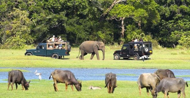Private Jeep Safari to One of the Best National Parks - Safari Itinerary Details