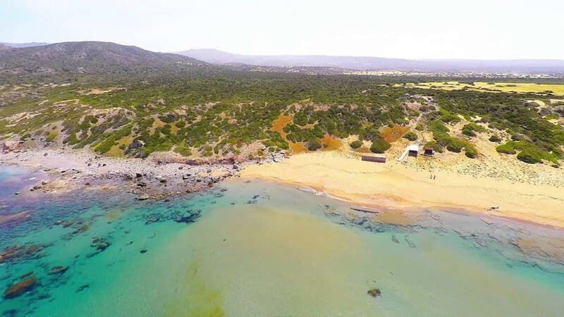 Private Jeep Safari Turtle Adventure & Adonis Waterfalls - An In-Depth Look at the Private Jeep Safari Experience in Cyprus