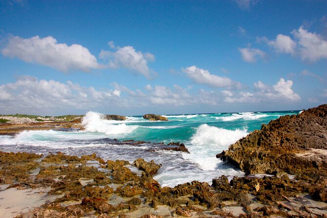 Private Jeep Tour and Punta Sur Park in Cozumel: All-Inclusive - Cancellation Policy