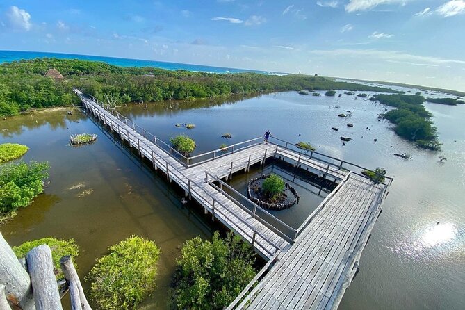 Private Jeep Tour and Punta Sur Park in Cozumel: All-Inclusive - Pricing