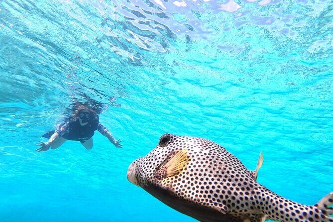 Private Jeep Tour & ATV to Jade Cavern Cenote: All Inclusive - The Sum Up