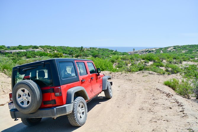 Private Jeep Tour Cabo Pulmo - Viator Help Center
