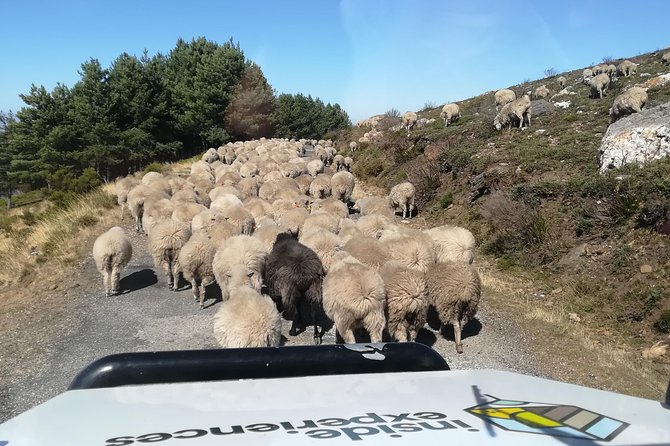 Private Jeep Tour of Marão Nature - Additional Information