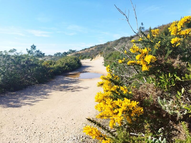 Private Jeep tour to Espichel Mysteries and Wild Beaches - Good To Know