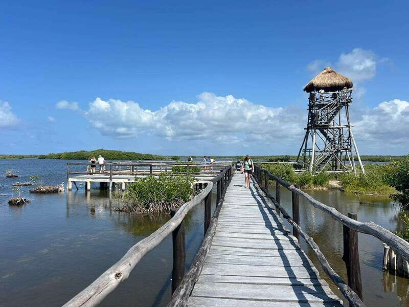 Private Jeep tour to Punta Sur park + snorkel + Lunch - Why This Tour Offers Great Value
