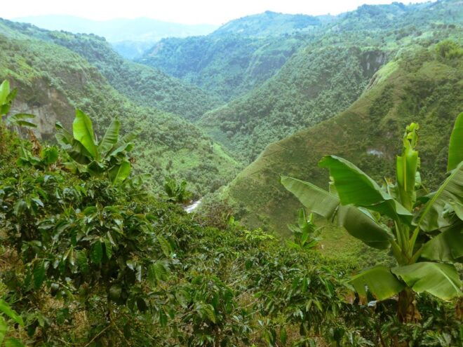 Private Jeep Tour to the Surroundings of San Agustín - Frequently Asked Questions