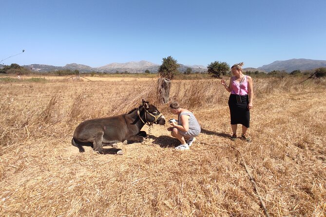 Private Jeep Tour - Zeus Cave - Cretan Villages - Highlights of the Private Jeep Tour