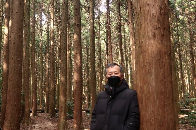 Private Jeju Island Eco Land and Film Location Forest - Overview of the Tour