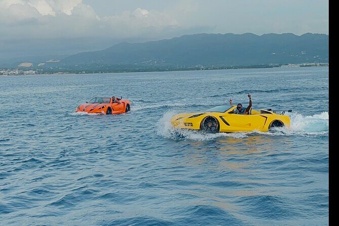 Private Jet Car or Jet Ski Experience in Montego Bay - Authentic Insights from Reviews