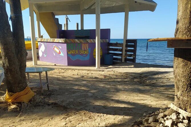 Private Jet Ski Tour in Montego Bay - Final Thoughts: Who Should Book?