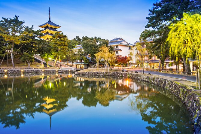 Private Journey in Nara's Historical Wonder - Naras Historical Importance